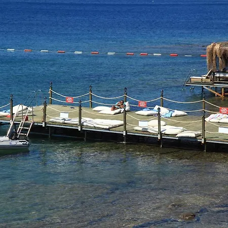 מלון דירות Aktur 3*