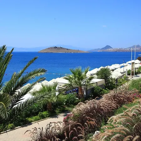 Aktur Apart Otel 3*