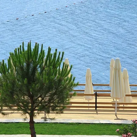 Aktur מלון דירות ביטז