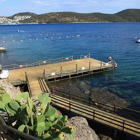 מלון דירות Aktur 3*