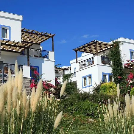 Aktur מלון דירות 3*