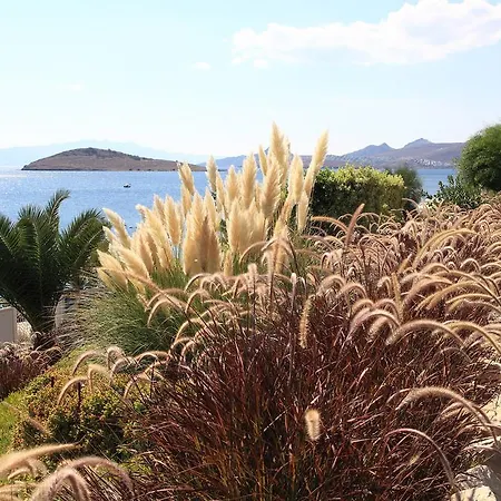 מלון דירות Aktur 3*