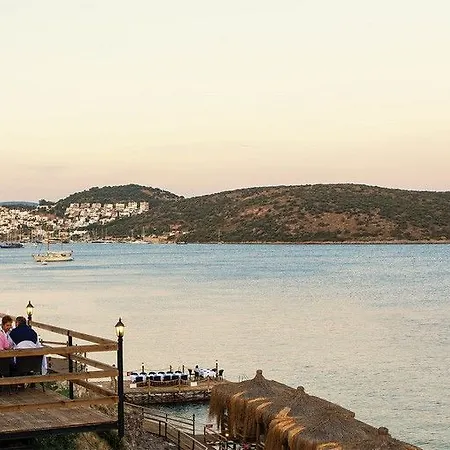 Apart Otel Aktur 3*