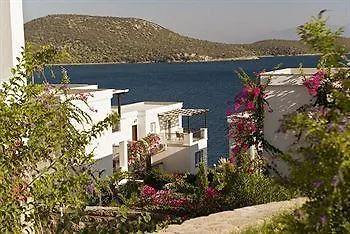 Aktur 3*