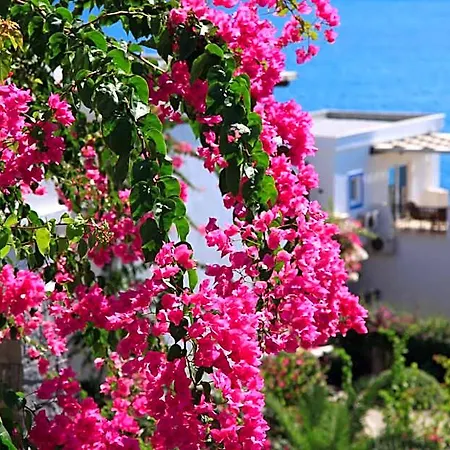 Aktur Apartahotel Bitez
