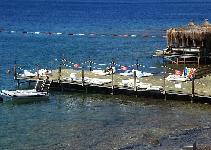 Ξενοδοχείο με διαμερίσματα Aktur 3*